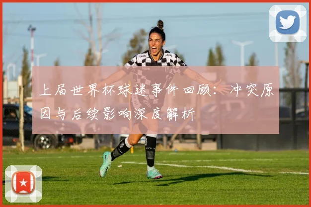 上届世界杯球迷事件回顾：冲突原因与后续影响深度解析