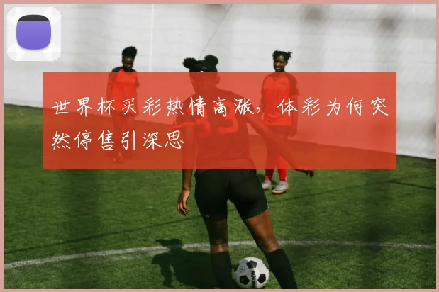 世界杯买彩热情高涨，体彩为何突然停售引深思