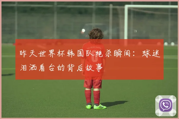 昨天世界杯韩国队绝杀瞬间：球迷泪洒看台的背后故事