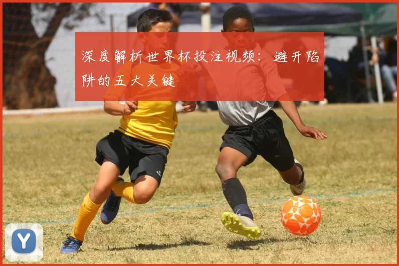 深度解析世界杯投注视频：避开陷阱的五大关键