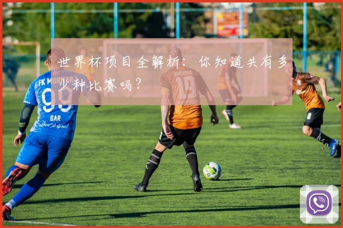 世界杯项目全解析：你知道共有多少种比赛吗？