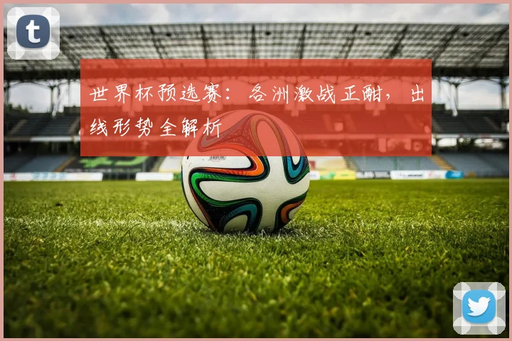 世界杯预选赛:各洲激战正酣,出线形势全解析