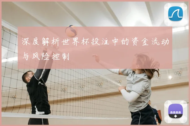 深度解析世界杯投注中的资金流动与风险控制