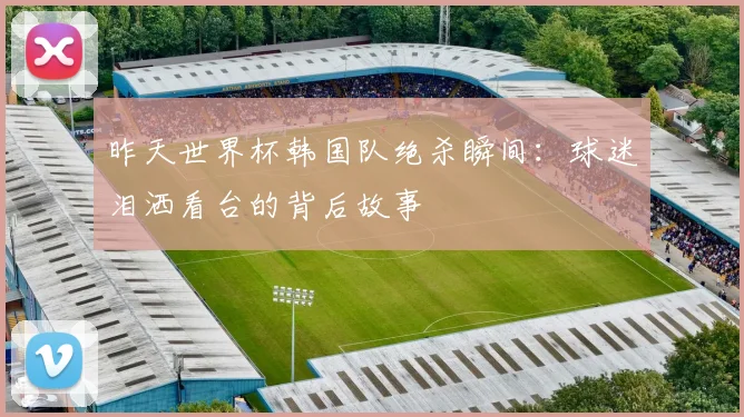 昨天世界杯韩国队绝杀瞬间：球迷泪洒看台的背后故事
