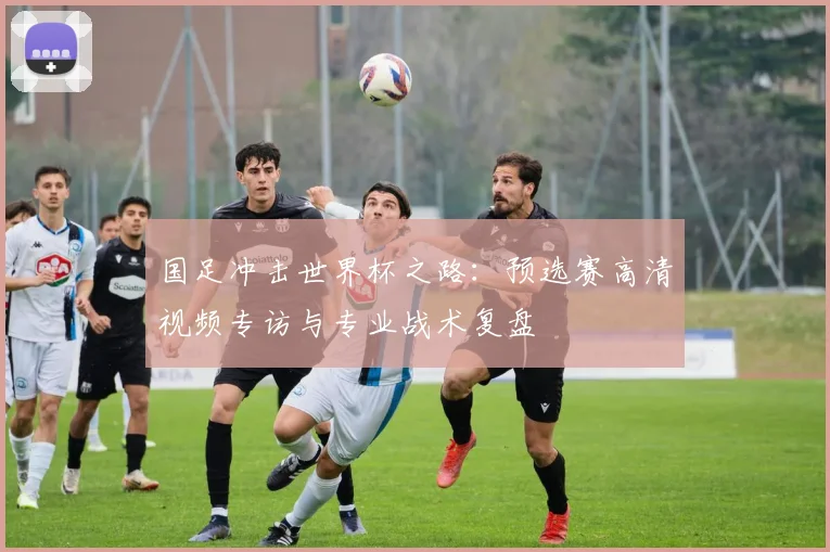 国足冲击世界杯之路：预选赛高清视频专访与专业战术复盘