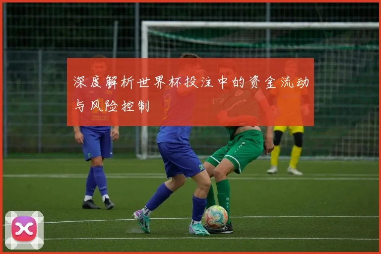 深度解析世界杯投注中的资金流动与风险控制